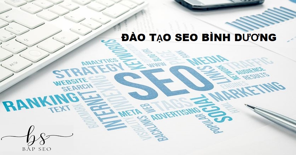 Đào tạo seo bình dương