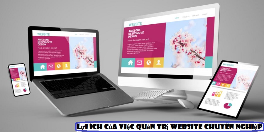 Lợi ích của việc quản trị website chuyên nghiệp